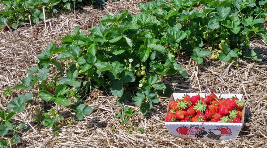 Welcome to Catskill Eats, a New Food&nbsp;Blog