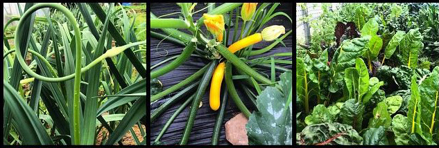 Burnett Farm Stand Opens, Schoharie Beverage Trail Prepares, Roscoe&nbsp;Celebrates