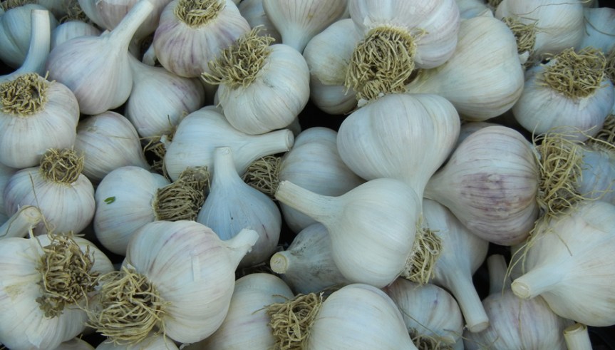 Garlic from Star Route Farm in Charlotteville. Photo by Catskill Eats