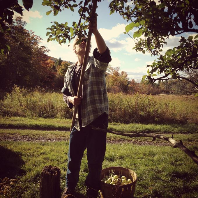 Alex Wilson of Wayside Cider, collecting apples last fall. Photo courtesy of Wayside Cider