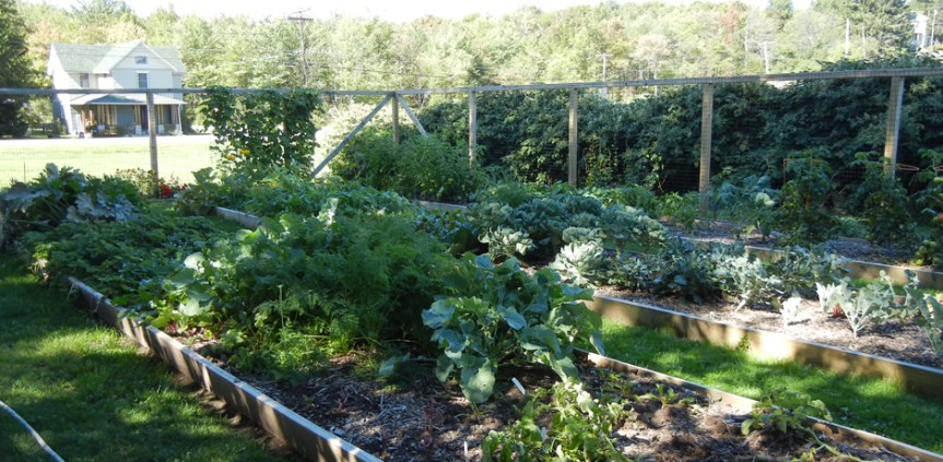 A large kitchen garden at The Arnold House supplies some of the kitchen's ingredients. A similar garden is planned at the North Branch Inn. Photo by Catskill Eats