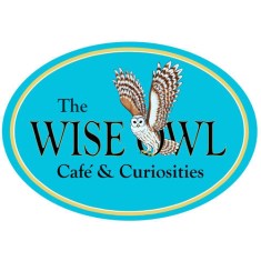 wiseowllogo_edited-1